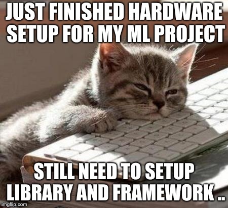 Tired Cat | JUST FINISHED HARDWARE SETUP FOR MY ML PROJECT; STILL NEED TO SETUP LIBRARY AND FRAMEWORK .. | image tagged in tired cat | made w/ Imgflip meme maker