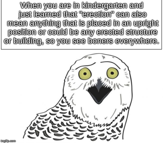 When you are in kindergarten and just learned that "erection" can also mean anything that is placed in an upright position or could be any erected structure or building, so you see boners everywhere. | image tagged in owl | made w/ Imgflip meme maker