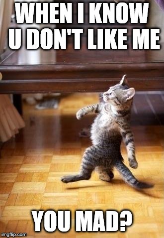 Cool Cat Stroll | WHEN I KNOW U DON'T LIKE ME; YOU MAD? | image tagged in memes,cool cat stroll | made w/ Imgflip meme maker