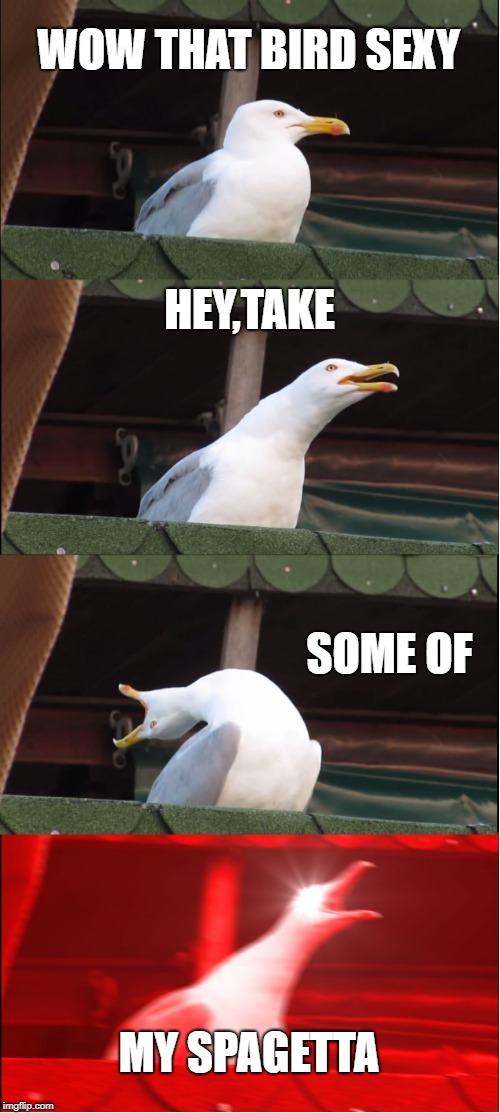 Inhaling Seagull Meme | WOW THAT BIRD SEXY; HEY,TAKE; SOME OF; MY SPAGETTA | image tagged in memes,inhaling seagull | made w/ Imgflip meme maker