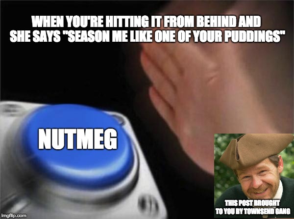 Blank Nut Button Meme | WHEN YOU'RE HITTING IT FROM BEHIND AND SHE SAYS "SEASON ME LIKE ONE OF YOUR PUDDINGS"; NUTMEG; THIS POST BROUGHT TO YOU BY TOWNSEND GANG | image tagged in memes,blank nut button | made w/ Imgflip meme maker