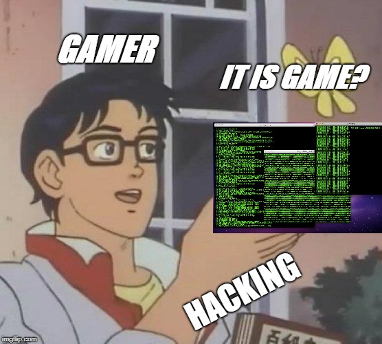 Is This A Pigeon Meme | GAMER; IT IS GAME? HACKING | image tagged in memes,is this a pigeon | made w/ Imgflip meme maker