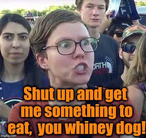 foggy | Shut up and get me something to eat,  you whiney dog! | image tagged in triggered feminist | made w/ Imgflip meme maker