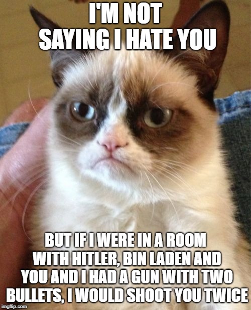 nobody give this cat a gun | I'M NOT SAYING I HATE YOU; BUT IF I WERE IN A ROOM WITH HITLER, BIN LADEN AND YOU AND I HAD A GUN WITH TWO BULLETS, I WOULD SHOOT YOU TWICE | image tagged in memes,grumpy cat | made w/ Imgflip meme maker