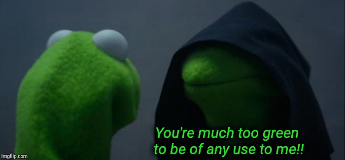 Evil Kermit | You're much too green to be of any use to me!! | image tagged in memes,evil kermit | made w/ Imgflip meme maker