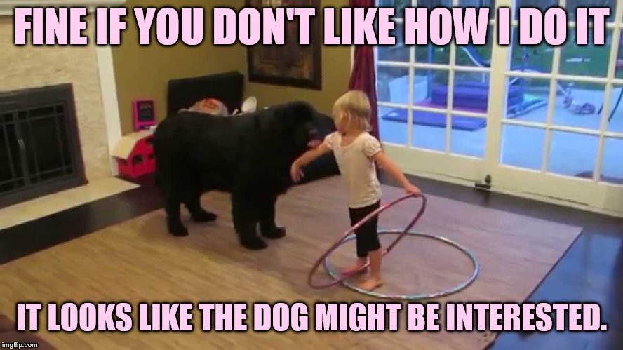 FINE IF YOU DON'T LIKE HOW I DO IT IT LOOKS LIKE THE DOG MIGHT BE INTERESTED. | made w/ Imgflip meme maker