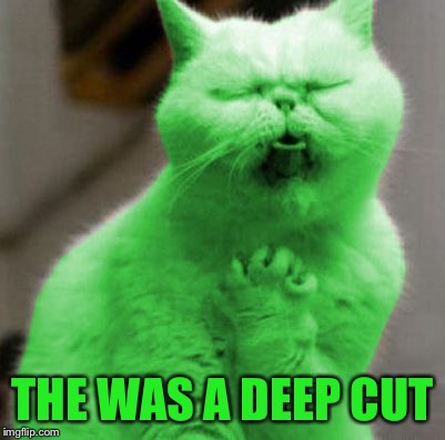 Opera RayCat | THE WAS A DEEP CUT | image tagged in opera raycat | made w/ Imgflip meme maker
