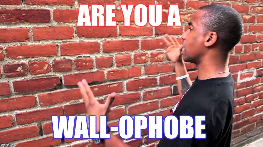 Talking to wall | ARE YOU A; WALL-OPHOBE | image tagged in talking to wall | made w/ Imgflip meme maker