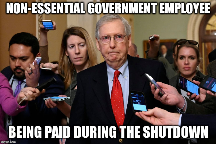 Mitch McConnell could allow a vote to re-open the government | NON-ESSENTIAL GOVERNMENT EMPLOYEE; BEING PAID DURING THE SHUTDOWN | image tagged in mitch mcconnell,trump,humor,government shutdown,senate,border wall | made w/ Imgflip meme maker