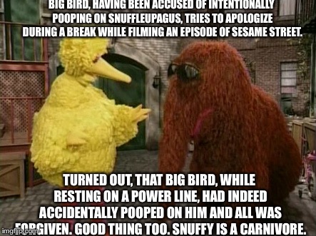 Big Bird And Snuffy |  BIG BIRD, HAVING BEEN ACCUSED OF INTENTIONALLY POOPING ON SNUFFLEUPAGUS, TRIES TO APOLOGIZE DURING A BREAK WHILE FILMING AN EPISODE OF SESAME STREET. TURNED OUT, THAT BIG BIRD, WHILE RESTING ON A POWER LINE, HAD INDEED ACCIDENTALLY POOPED ON HIM AND ALL WAS FORGIVEN. GOOD THING TOO. SNUFFY IS A CARNIVORE. | image tagged in memes,big bird and snuffy | made w/ Imgflip meme maker