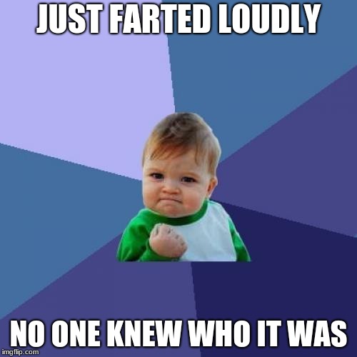 Success Kid Meme | JUST FARTED LOUDLY; NO ONE KNEW WHO IT WAS | image tagged in memes,success kid | made w/ Imgflip meme maker