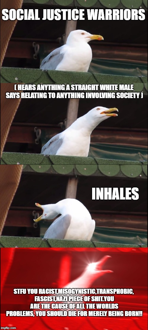 Inhaling Seagull | SOCIAL JUSTICE WARRIORS; ( HEARS ANYTHING A STRAIGHT WHITE MALE SAYS RELATING TO ANYTHING INVOLVING SOCIETY ); INHALES; STFU YOU RACIST,MISOGYNISTIC,TRANSPHOBIC, FASCIST,NAZI PIECE OF SHIT.YOU ARE THE CAUSE OF ALL THE WORLDS PROBLEMS, YOU SHOULD DIE FOR MERELY BEING BORN!! | image tagged in memes,inhaling seagull | made w/ Imgflip meme maker