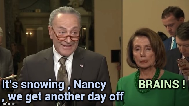 A new sequel to "Night of the Living Dead" | It's snowing , Nancy , we get another day off; BRAINS ! | image tagged in zombies,politicians suck,chuck schumer,nancy pelosi,i see dead people | made w/ Imgflip meme maker