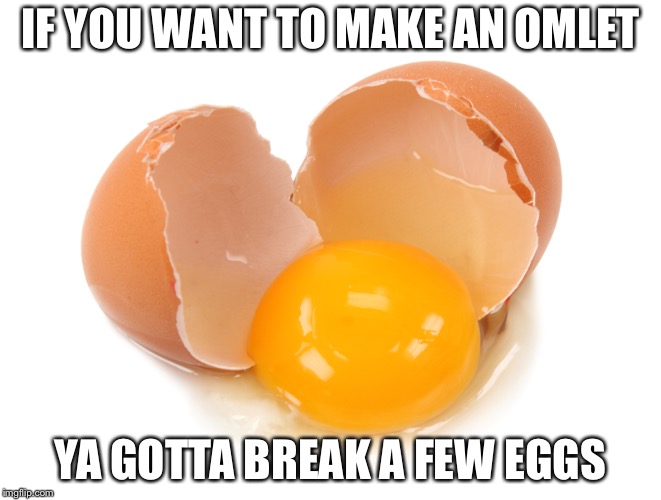 broken egg | IF YOU WANT TO MAKE AN OMLET YA GOTTA BREAK A FEW EGGS | image tagged in broken egg | made w/ Imgflip meme maker