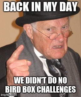 Back In My Day Meme | BACK IN MY DAY; WE DIDN'T DO NO BIRD BOX CHALLENGES | image tagged in memes,back in my day | made w/ Imgflip meme maker