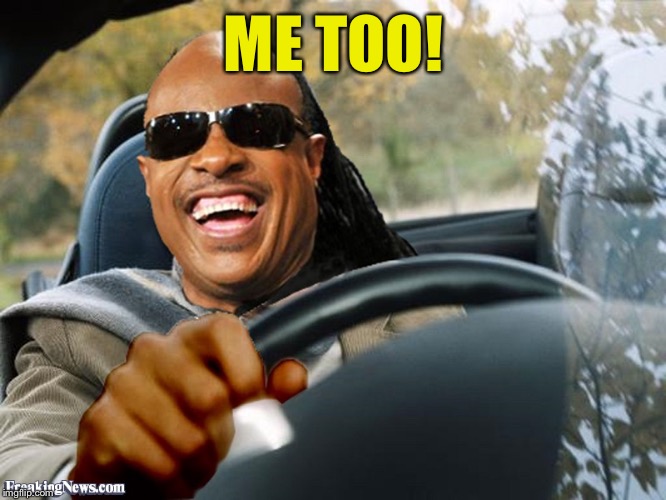 Stevie Wonder Driving | ME TOO! | image tagged in stevie wonder driving | made w/ Imgflip meme maker