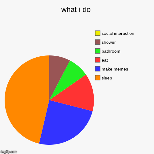 what i do | sleep, make memes, eat, bathroom, shower, social interaction | image tagged in funny,pie charts | made w/ Imgflip chart maker