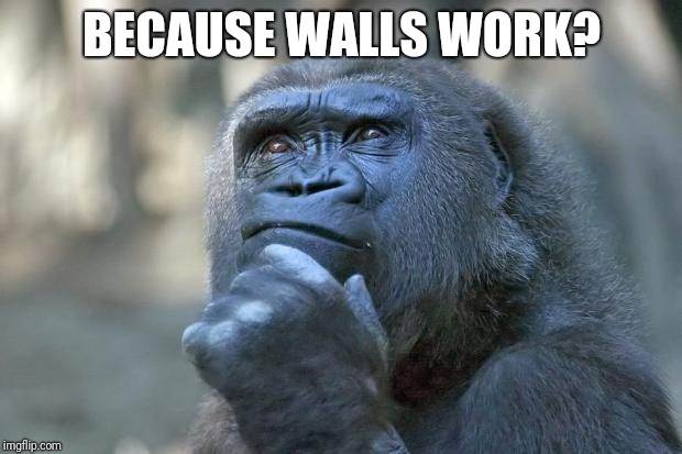 that is the question | BECAUSE WALLS WORK? | image tagged in that is the question | made w/ Imgflip meme maker