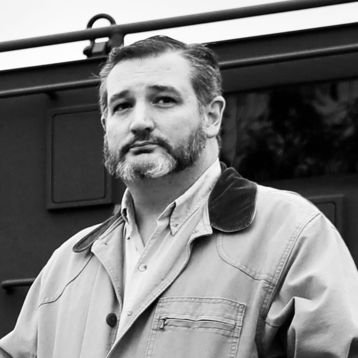 Ted Cruz Beard Blank Meme Template