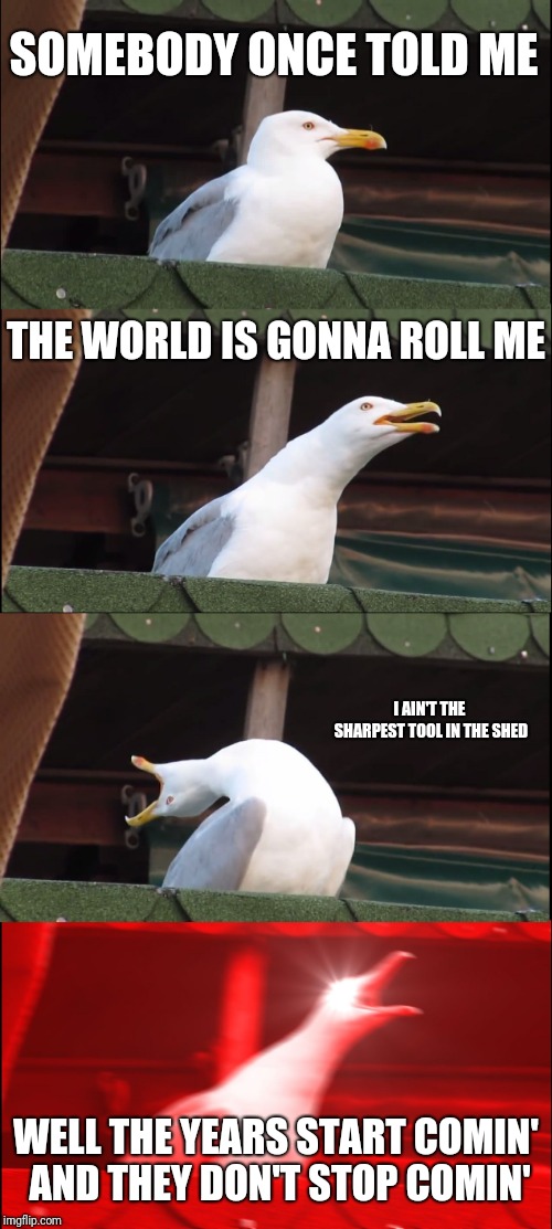 Inhaling Seagull Meme | SOMEBODY ONCE TOLD ME; THE WORLD IS GONNA ROLL ME; I AIN'T THE SHARPEST TOOL IN THE SHED; WELL THE YEARS START COMIN' AND THEY DON'T STOP COMIN' | image tagged in memes,inhaling seagull | made w/ Imgflip meme maker