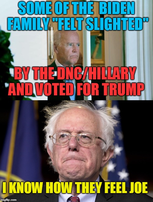 The Real Voter fraud | SOME OF THE  BIDEN FAMILY "FELT SLIGHTED"; BY THE DNC/HILLARY AND VOTED FOR TRUMP; I KNOW HOW THEY FEEL JOE | image tagged in sad joe biden,bernie sanders,crooked hillary | made w/ Imgflip meme maker