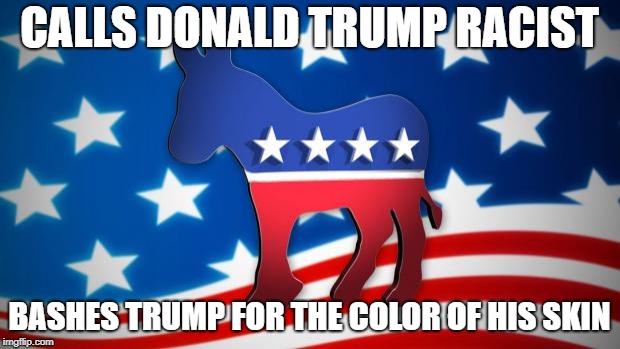 Democrats |  CALLS DONALD TRUMP RACIST; BASHES TRUMP FOR THE COLOR OF HIS SKIN | image tagged in democrats | made w/ Imgflip meme maker
