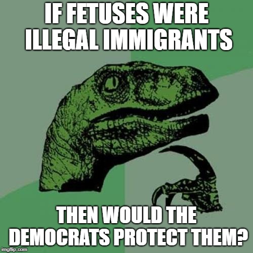 Philosoraptor Meme | IF FETUSES WERE ILLEGAL IMMIGRANTS; THEN WOULD THE DEMOCRATS PROTECT THEM? | image tagged in memes,philosoraptor | made w/ Imgflip meme maker