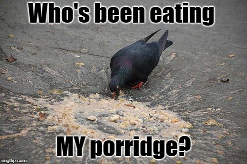 Goldilocks and the pigeon | Who's been eating; MY porridge? | image tagged in vomit,pigeon,goldilocks | made w/ Imgflip meme maker