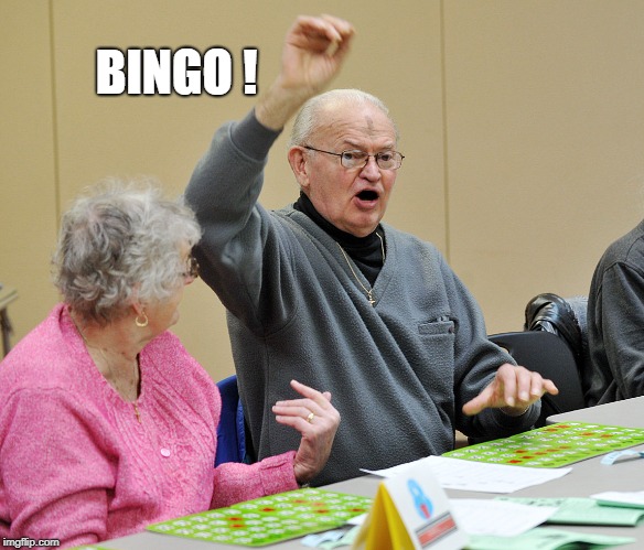 Bingo | BINGO ! | image tagged in bingo | made w/ Imgflip meme maker