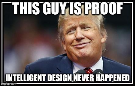 Frump A Trump | THIS GUY IS PROOF; INTELLIGENT DESIGN NEVER HAPPENED | image tagged in frump a trump | made w/ Imgflip meme maker