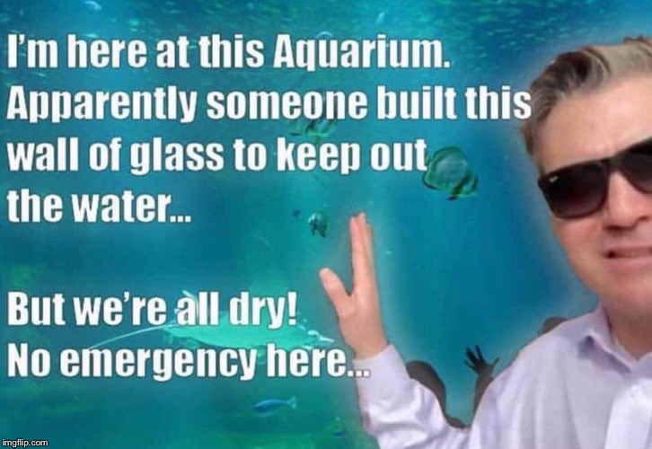 Jimbo strikes again! | . | image tagged in maga | made w/ Imgflip meme maker