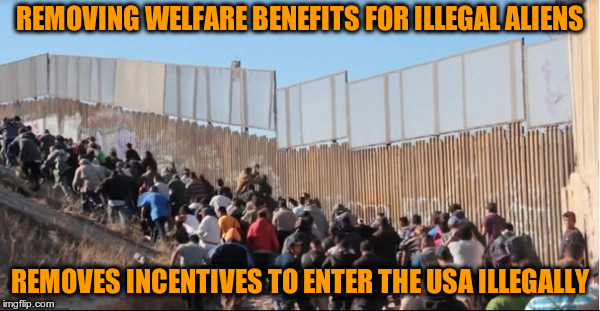 Illegal Immigrants | REMOVING WELFARE BENEFITS FOR ILLEGAL ALIENS; REMOVES INCENTIVES TO ENTER THE USA ILLEGALLY | image tagged in illegal immigrants | made w/ Imgflip meme maker