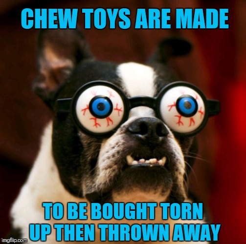 Sudden Clarity Dog | CHEW TOYS ARE MADE; TO BE BOUGHT TORN UP THEN THROWN AWAY | image tagged in sudden clarity dog,memes,chew toys,funny,sudden clarity clarence,44colt | made w/ Imgflip meme maker
