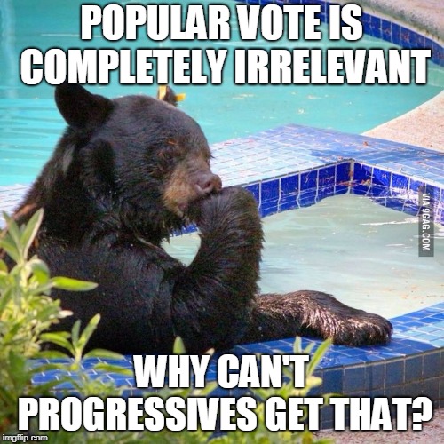 Ponder bear | POPULAR VOTE IS COMPLETELY IRRELEVANT WHY CAN'T PROGRESSIVES GET THAT? | image tagged in ponder bear | made w/ Imgflip meme maker