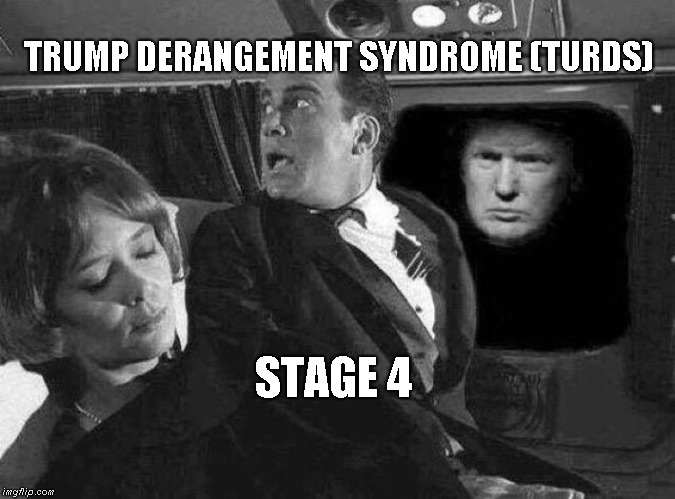 Trump Derangement Syndrome | TRUMP DERANGEMENT SYNDROME (TURDS); STAGE 4 | image tagged in trump derangement syndrome,trump | made w/ Imgflip meme maker