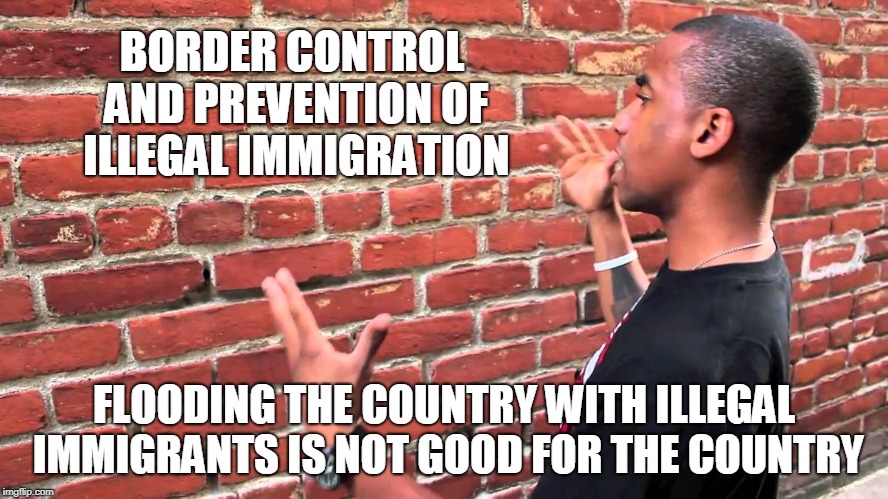 Talking to wall | BORDER CONTROL AND PREVENTION OF ILLEGAL IMMIGRATION FLOODING THE COUNTRY WITH ILLEGAL IMMIGRANTS IS NOT GOOD FOR THE COUNTRY | image tagged in talking to wall | made w/ Imgflip meme maker
