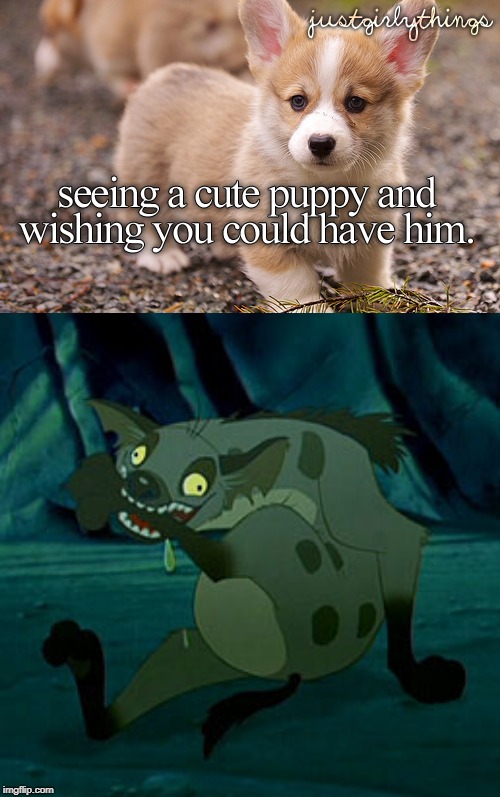Just Lion King Things | image tagged in lion king,dogs,justgirlythings,memes | made w/ Imgflip meme maker