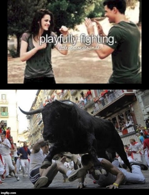 Just Naturally Bad Things | image tagged in bull,animals,justgirlythings,memes,runningofthebulls | made w/ Imgflip meme maker