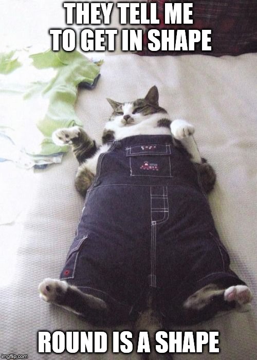 Fat Cat Meme | THEY TELL ME TO GET IN SHAPE; ROUND IS A SHAPE | image tagged in memes,fat cat | made w/ Imgflip meme maker