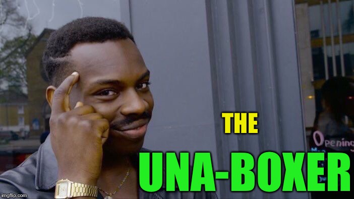 Roll Safe Think About It Meme | THE UNA-BOXER | image tagged in memes,roll safe think about it | made w/ Imgflip meme maker