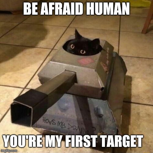 BE AFRAID HUMAN; YOU'RE MY FIRST TARGET | image tagged in cat in a tank | made w/ Imgflip meme maker