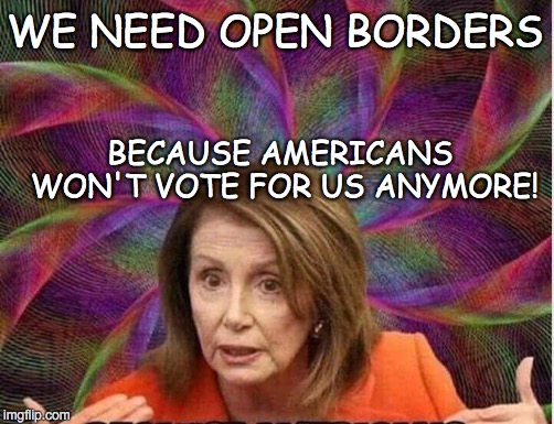 THE REAL REASON FOR IMMIGRATION | WE NEED OPEN BORDERS; BECAUSE AMERICANS WON'T VOTE FOR US ANYMORE! | image tagged in nancy pelosi,chuck schumer,liberals | made w/ Imgflip meme maker