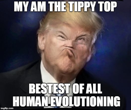 Twomp is mad | MY AM THE TIPPY TOP; BESTEST OF ALL HUMAN EVOLUTIONING | image tagged in twomp is mad | made w/ Imgflip meme maker