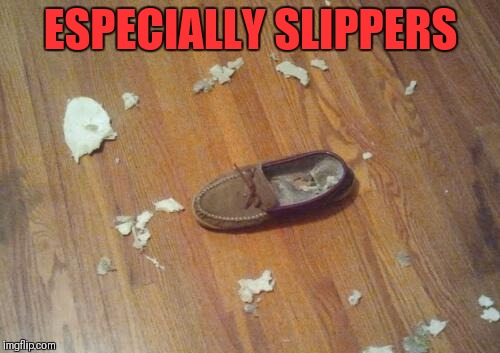 ESPECIALLY SLIPPERS | made w/ Imgflip meme maker
