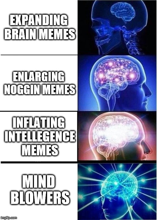 Expanding Brain | EXPANDING BRAIN MEMES; ENLARGING NOGGIN MEMES; INFLATING INTELLEGENCE MEMES; MIND BLOWERS | image tagged in memes,expanding brain | made w/ Imgflip meme maker