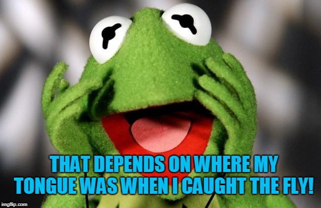 kermit shocked | THAT DEPENDS ON WHERE MY TONGUE WAS WHEN I CAUGHT THE FLY! | image tagged in kermit shocked | made w/ Imgflip meme maker