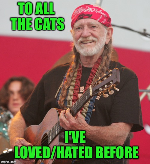 TO ALL THE CATS I'VE LOVED/HATED BEFORE | made w/ Imgflip meme maker