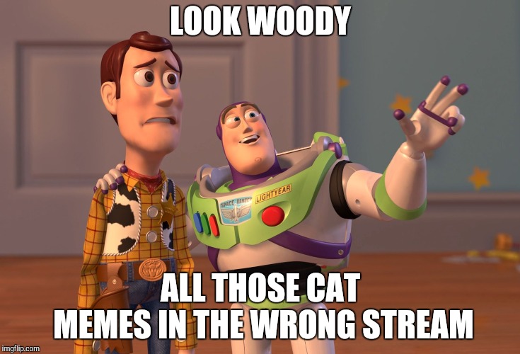X, X Everywhere Meme | LOOK WOODY ALL THOSE CAT MEMES IN THE WRONG STREAM | image tagged in memes,x x everywhere | made w/ Imgflip meme maker