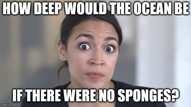 Crazy Alexandria Ocasio-Cortez | HOW DEEP WOULD THE OCEAN BE; IF THERE WERE NO SPONGES? | image tagged in crazy alexandria ocasio-cortez | made w/ Imgflip meme maker