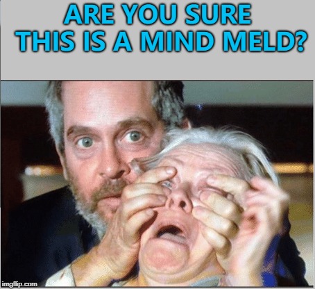 He's not even Vulcan... :) | ARE YOU SURE THIS IS A MIND MELD? | image tagged in bird box,memes,mind meld,vulcan,star trek | made w/ Imgflip meme maker